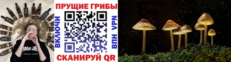 наркотики OMG маркетплейс Псилоцибиновые грибы GOLDEN TEACHER Белоусово